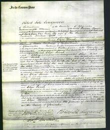 Court of Common Pleas - Eliza Sarah Gabb-Original Ancestry