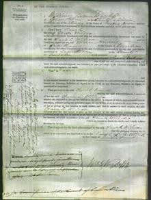 Court of Common Pleas - Sarah Wilcox-Original Ancestry