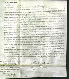 Court of Common Pleas - Margaret Randolph, Mary Rowan and Ann Goulborne-Original Ancestry