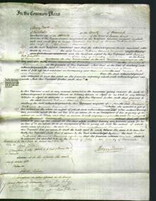 Court of Common Pleas - Rachael Pratt and Hannah Treadwell-Original Ancestry