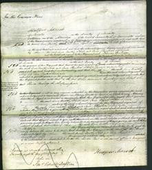 Court of Common Pleas - Anne Dorothy Thorp and Jane Elizabeth Scholefield-Original Ancestry