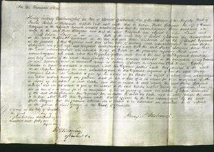 Court of Common Pleas - Hester Pettigrove-Original Ancestry