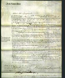 Court of Common Pleas - Eliza Sarah Gabb-Original Ancestry