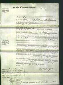 Court of Common Pleas - Mary White-Original Ancestry