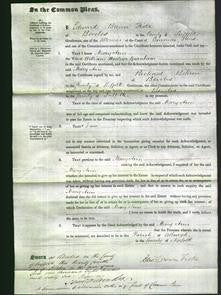 Court of Common Pleas - Mary Ann Garnham-Original Ancestry