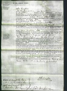 Court of Common Pleas - Mary Matilda Pott-Original Ancestry