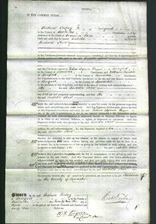 Court of Common Pleas - Isabella Shaw-Original Ancestry