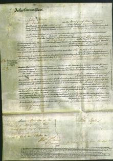 Court of Common Pleas - Susannah Lewis-Original Ancestry