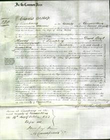 Court of Common Pleas - Anne James-Original Ancestry