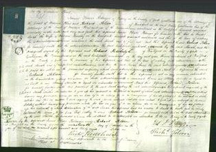 Court of Common Pleas - Sarah Hemsley-Original Ancestry