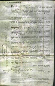 Court of Common Pleas - Mary Cutting-Original Ancestry