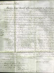 Court of Common Pleas - Mary Norris, Jane Norris and Ann Rebecca Norris-Original Ancestry