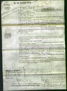 Court of Common Pleas - Mary Kidley-Original Ancestry