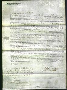 Court of Common Pleas - Elizabeth Millington-Original Ancestry