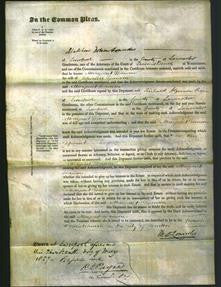 Court of Common Pleas - Margaret Danson-Original Ancestry