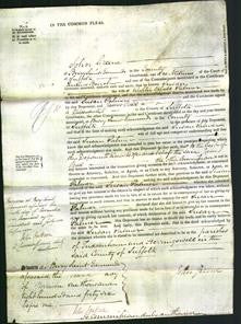 Court of Common Pleas - Susan Palmer-Original Ancestry