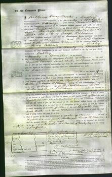 Court of Common Pleas - Elizabeth Jeavons, Sarah Butler and Louisa Williams-Original Ancestry