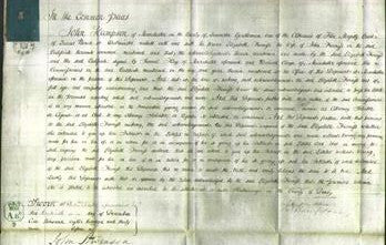 Court of Common Pleas - Elizabeth Furniss-Original Ancestry
