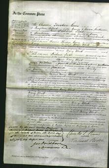 Court of Common Pleas - Mary Elliott-Original Ancestry