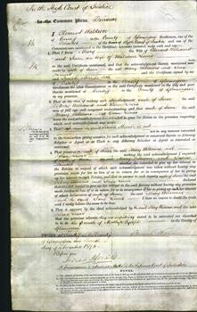 Court of Common Pleas - Mary Williams and Jane Lewis-Original Ancestry