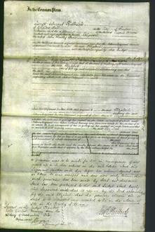 Court of Common Pleas - Elizabeth Lewis-Original Ancestry