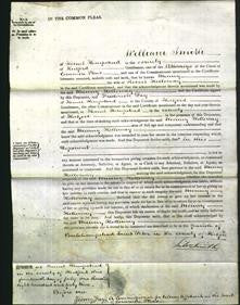 Court of Common Pleas - Menny Holloway-Original Ancestry