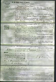 Court of Common Pleas - Mary Anne Tilley-Original Ancestry