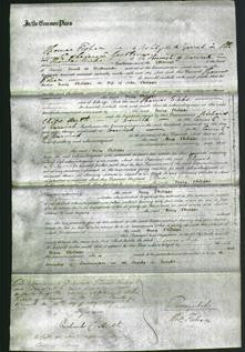 Court of Common Pleas - Mary Phillippo-Original Ancestry
