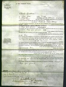 Court of Common Pleas - Sarah Bolton, Anne Galloway and Isabella Brown-Original Ancestry