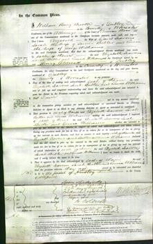 Court of Common Pleas - Elizabeth Jeavons, Sarah Butler and Louisa Williams-Original Ancestry