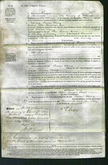 Court of Common Pleas - Frances Mary Freer-Original Ancestry