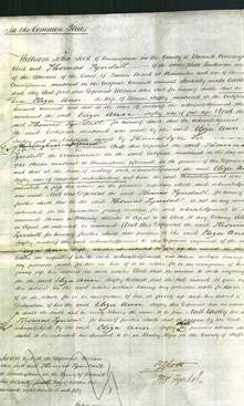 Court of Common Pleas - Eliza Ann Ingley-Original Ancestry