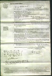 Court of Common Pleas - Sarah Richardson-Original Ancestry