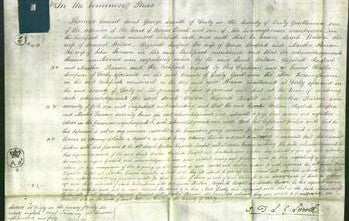 Court of Common Pleas - Sarah Walton, Elizabeth Basford and Martha Pearson-Original Ancestry