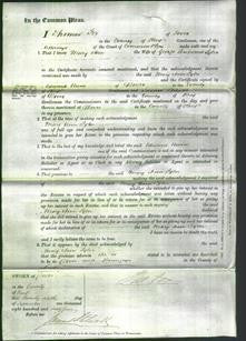 Court of Common Pleas - Mary Ann Tyler-Original Ancestry