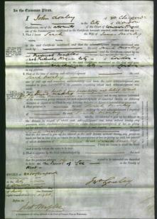 Court of Common Pleas - Sarah Morley-Original Ancestry