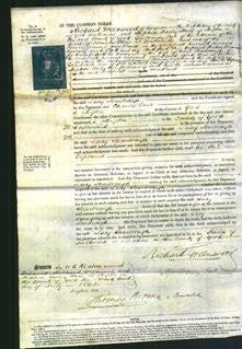 Court of Common Pleas - Lucy Scarbrough-Original Ancestry