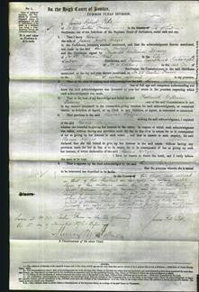 Court of Common Pleas - Rosina Hodges-Original Ancestry