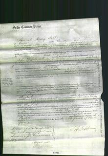 Court of Common Pleas - Elizabeth Harrison-Original Ancestry