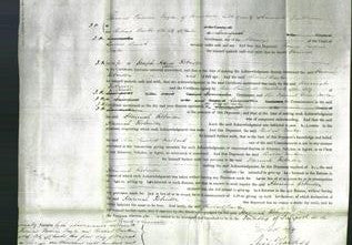 Court of Common Pleas - Hannah Robinson-Original Ancestry