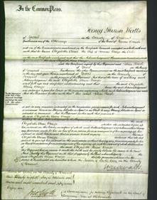 Court of Common Pleas - Elizabeth Ann Bruge-Original Ancestry