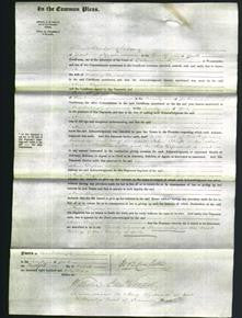 Court of Common Pleas - Ann Bryan-Original Ancestry