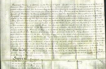 Court of Common Pleas - Mary Sparrow-Original Ancestry