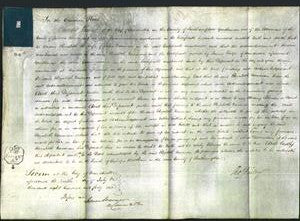 Court of Common Pleas - Elizabeth Newman-Original Ancestry