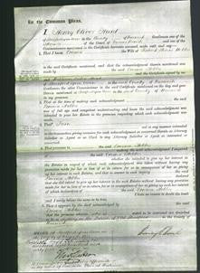 Court of Common Pleas - Emma Hobbs-Original Ancestry