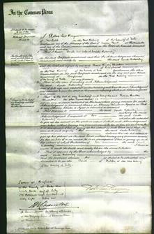 Court of Common Pleas - Sarah Bottomley-Original Ancestry