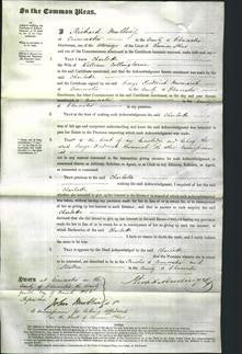 Court of Common Pleas - Charlotte Collingborne-Original Ancestry