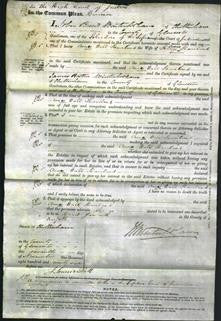 Court of Common Pleas - Anne Wall Haviland-Original Ancestry