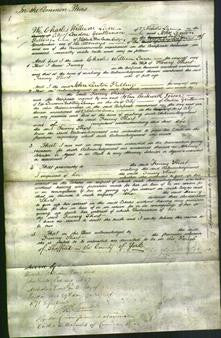 Court of Common Pleas - Fanny Short-Original Ancestry