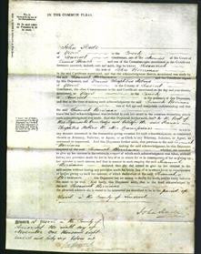 Court of Common Pleas - Susannah Berriman-Original Ancestry